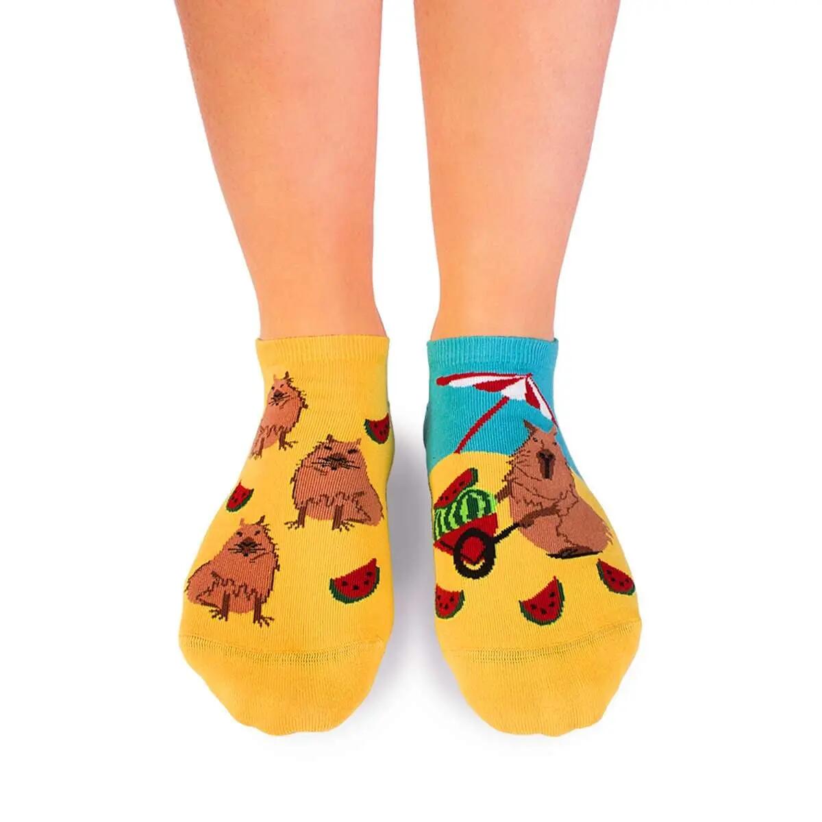 Rövid pamut zokni Arty Socks Capibara a strandon 2/6