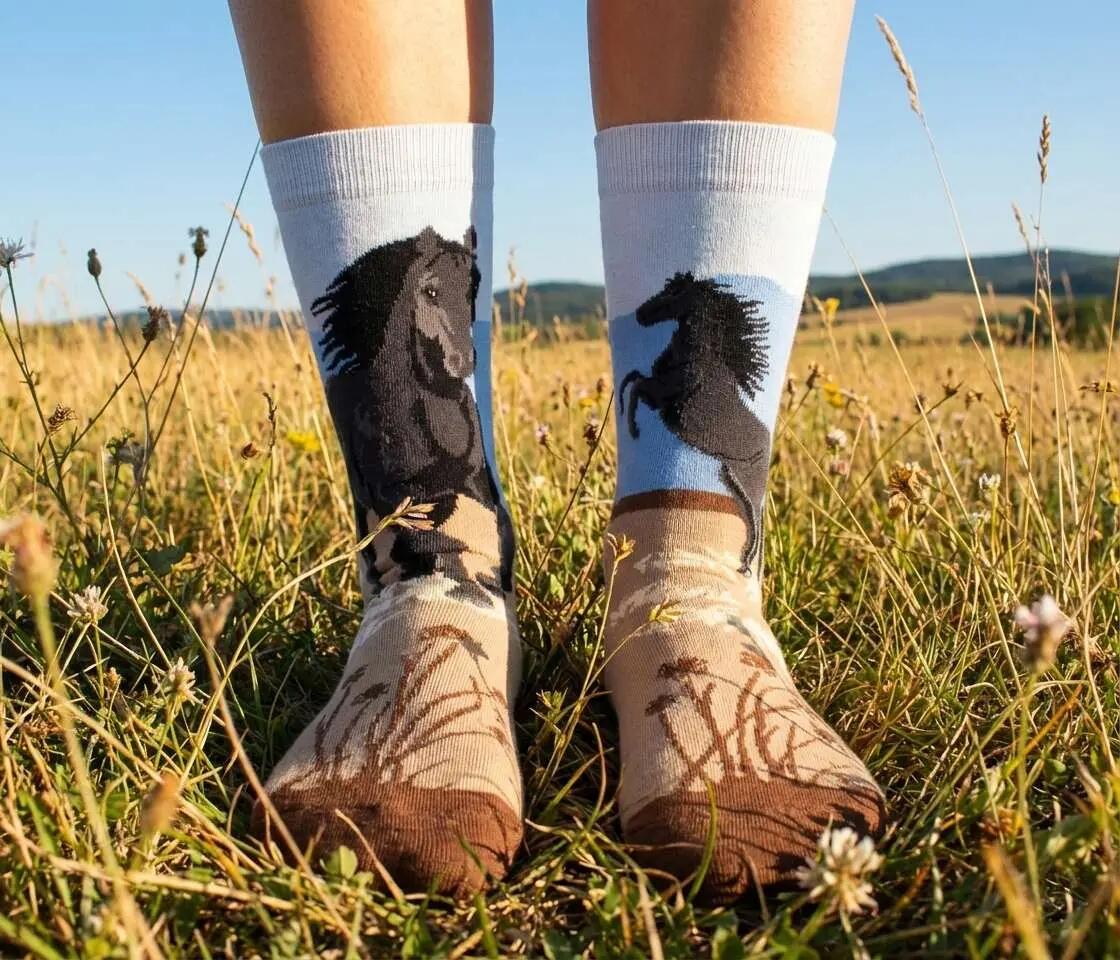 Arty Socks pamut zokni bézs ló mintával 3/4