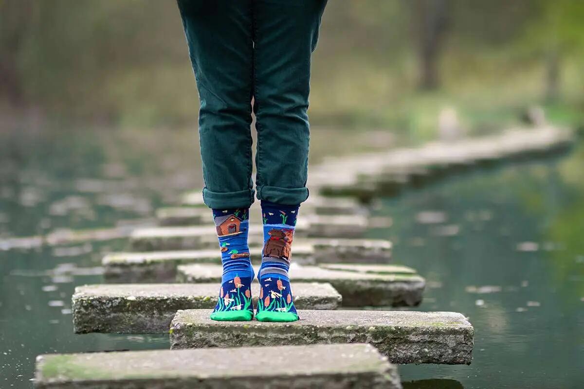 Arty Socks Szerelmes Capybara organikus pamut zokni Sötétkék 5/6