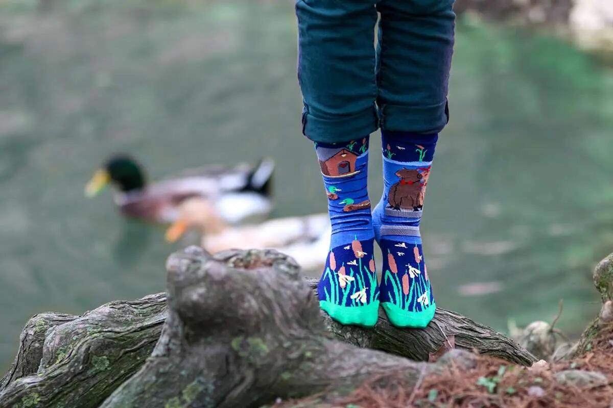 Arty Socks Szerelmes Capybara organikus pamut zokni Sötétkék 3/6