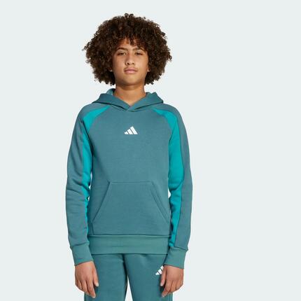 Sweat-shirt à capuche molleton colorblock Seasonal Essentials Enfants