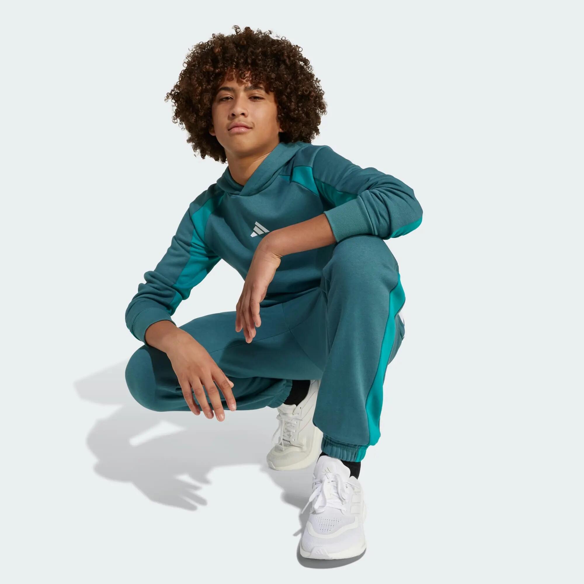 Sweat-shirt à capuche molleton colorblock Seasonal Essentials Enfants 5/5
