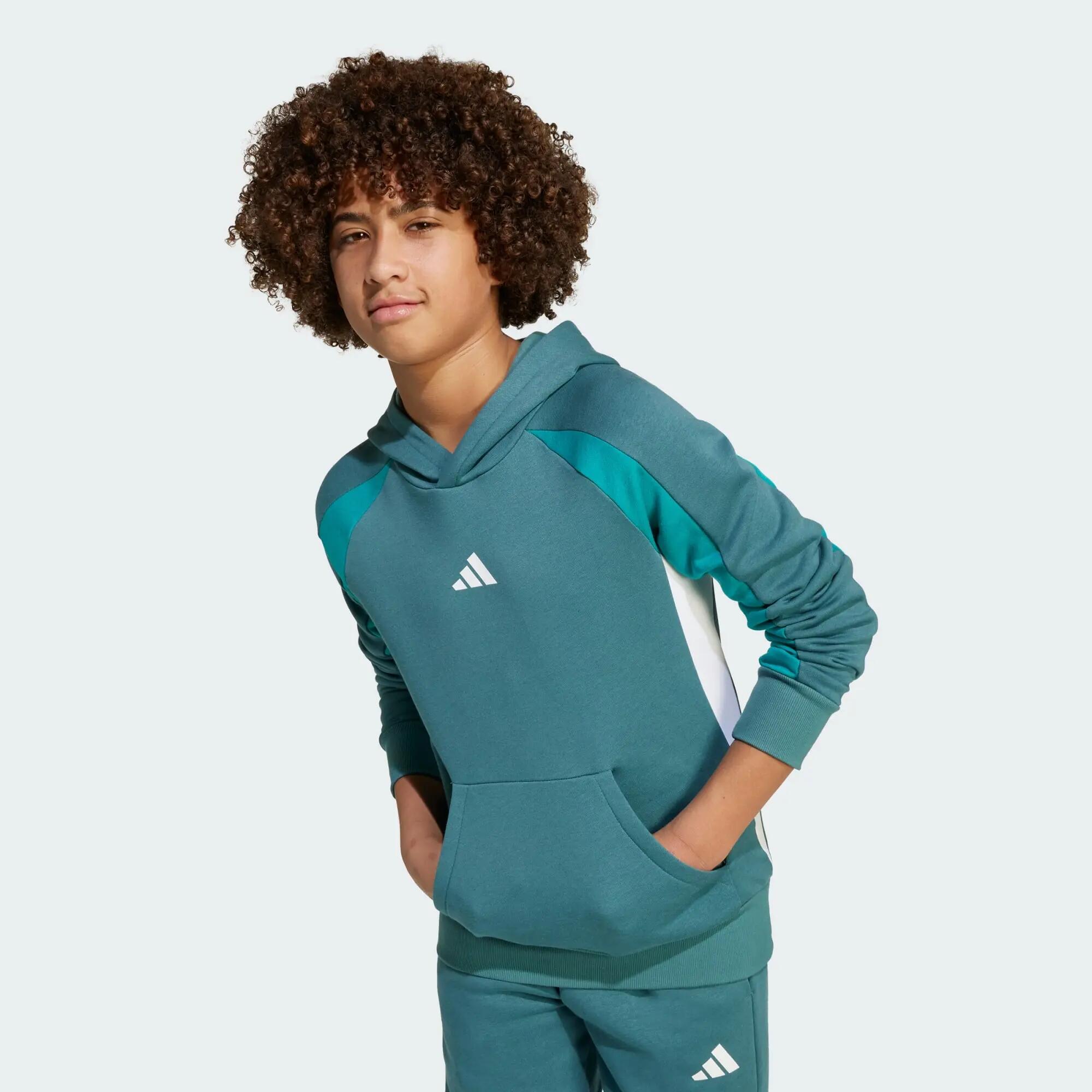 Sweat-shirt à capuche molleton colorblock Seasonal Essentials Enfants 4/5
