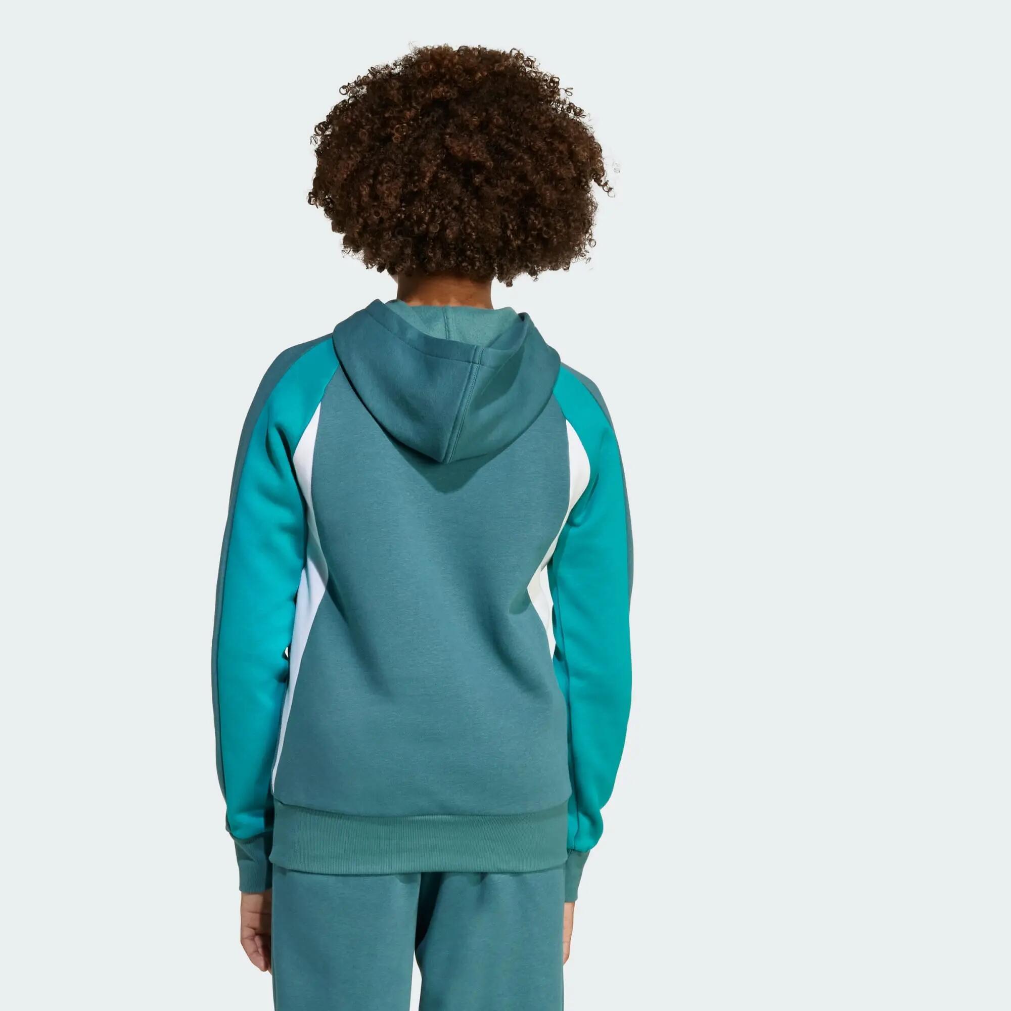 Sweat-shirt à capuche molleton colorblock Seasonal Essentials Enfants 3/5