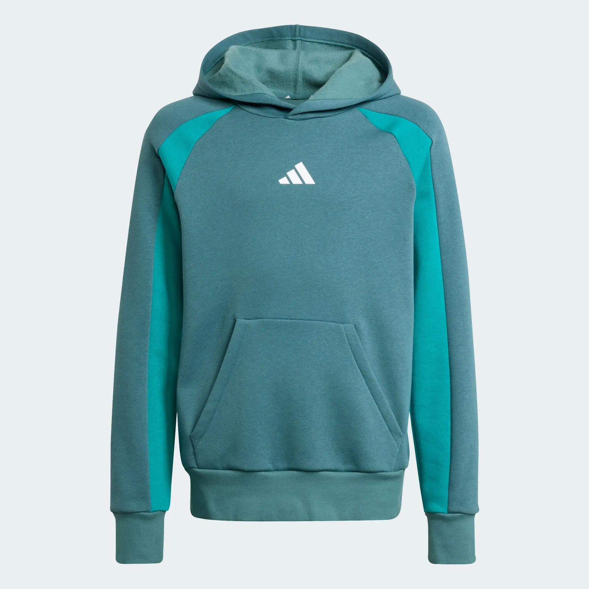 Sweat-shirt à capuche molleton colorblock Seasonal Essentials Enfants 2/5