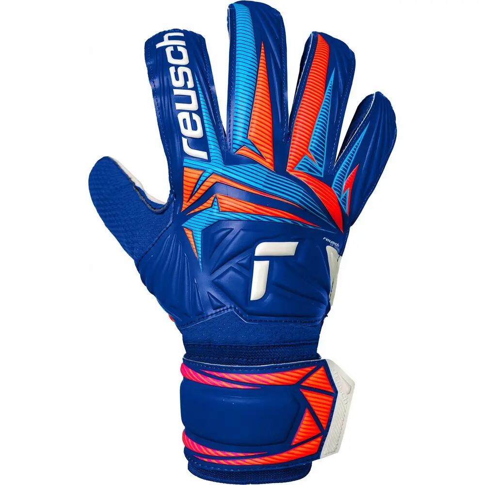 REUSCH picture