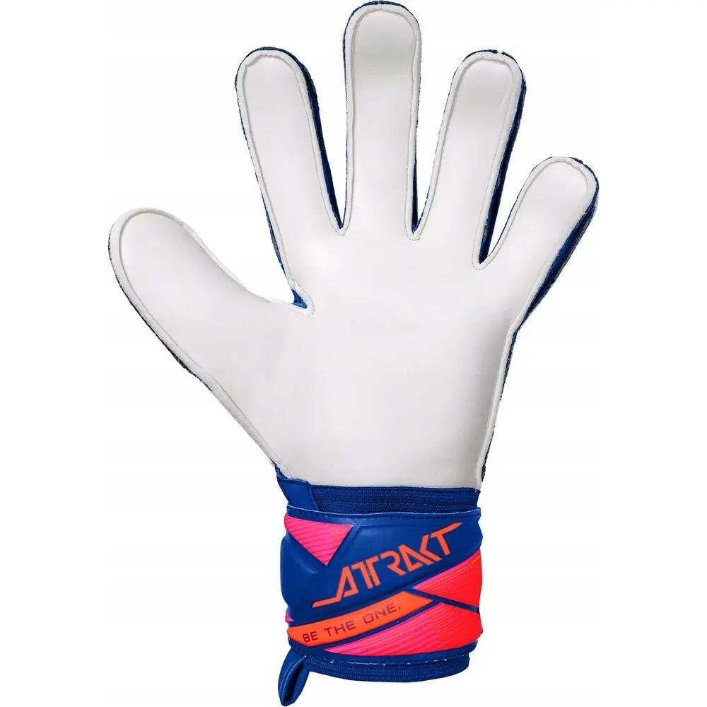 Guanti Da Portiere Adulto Unisex Reusch Attrakt Solid Blu 2/3