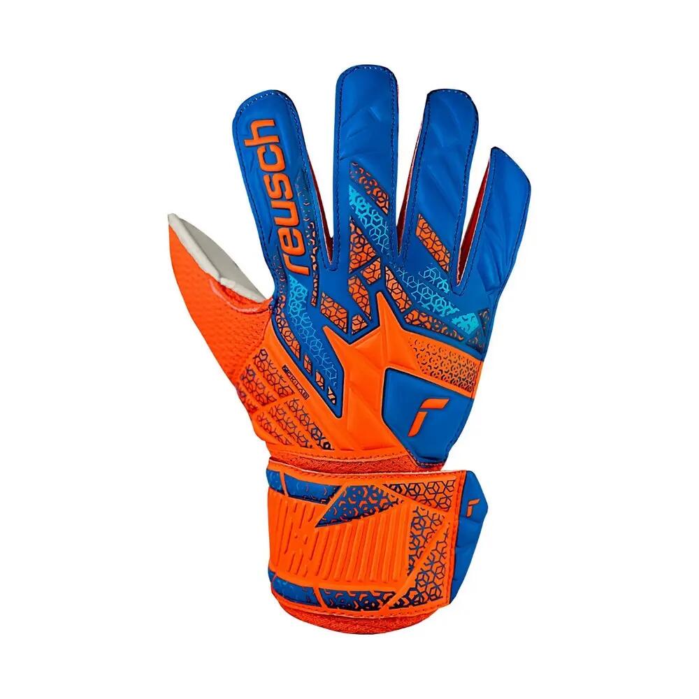 REUSCH picture