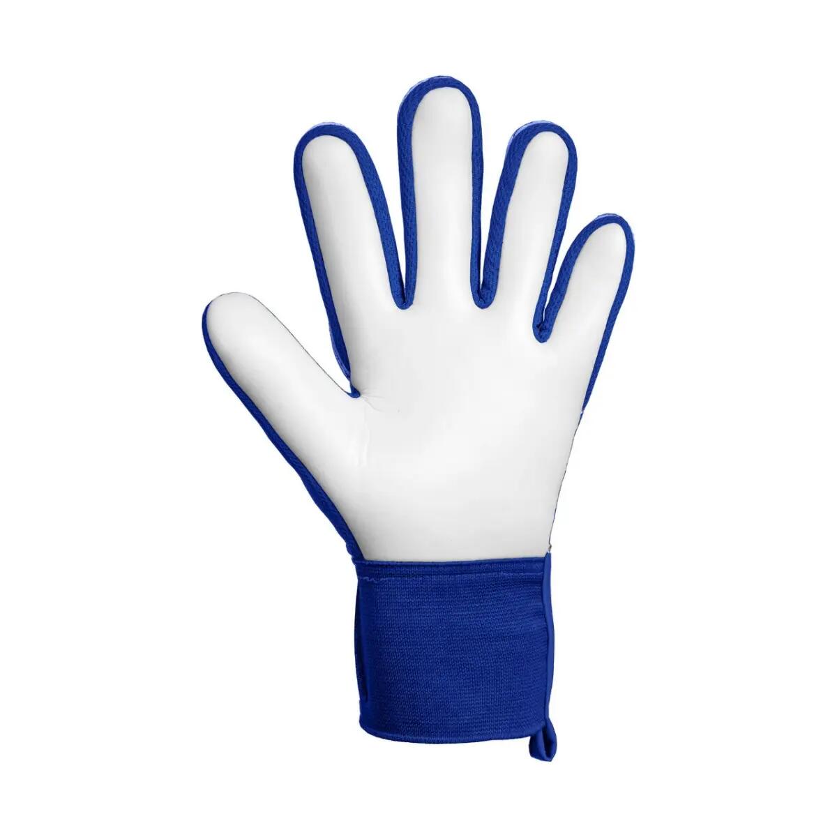 Guanti Da Portiere Adulto Unisex Reusch Attrakt Starter Solid Blu 2/3