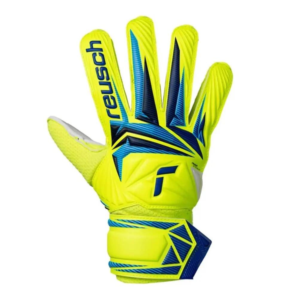 REUSCH picture