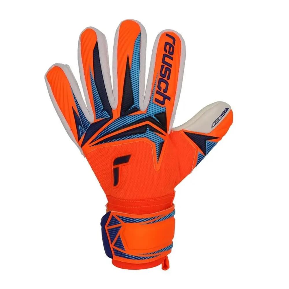 REUSCH picture