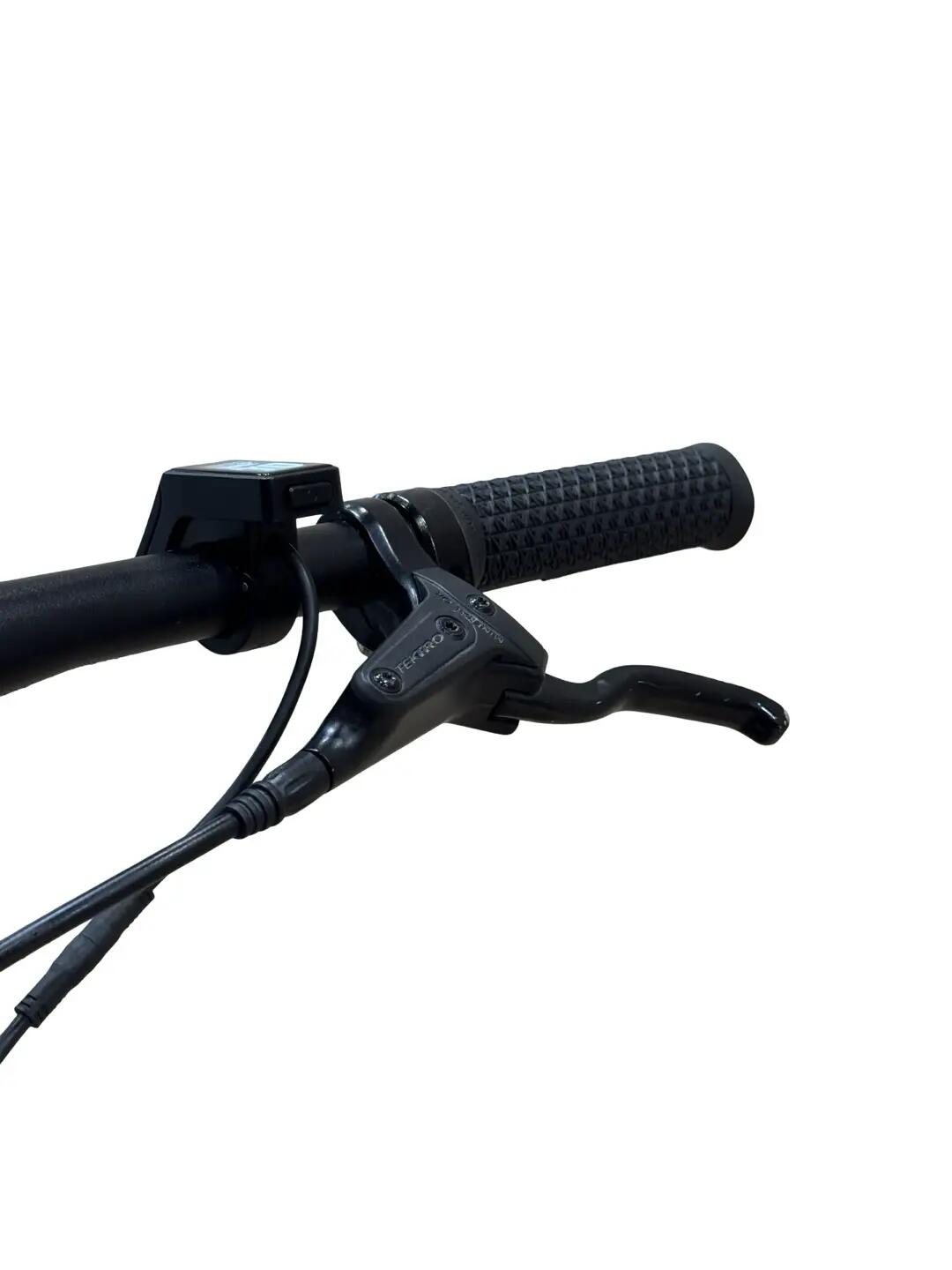 Ricondizionata - Bici elettriche Tenways CGO600 Single-Speed - Stato eccellente 5/11