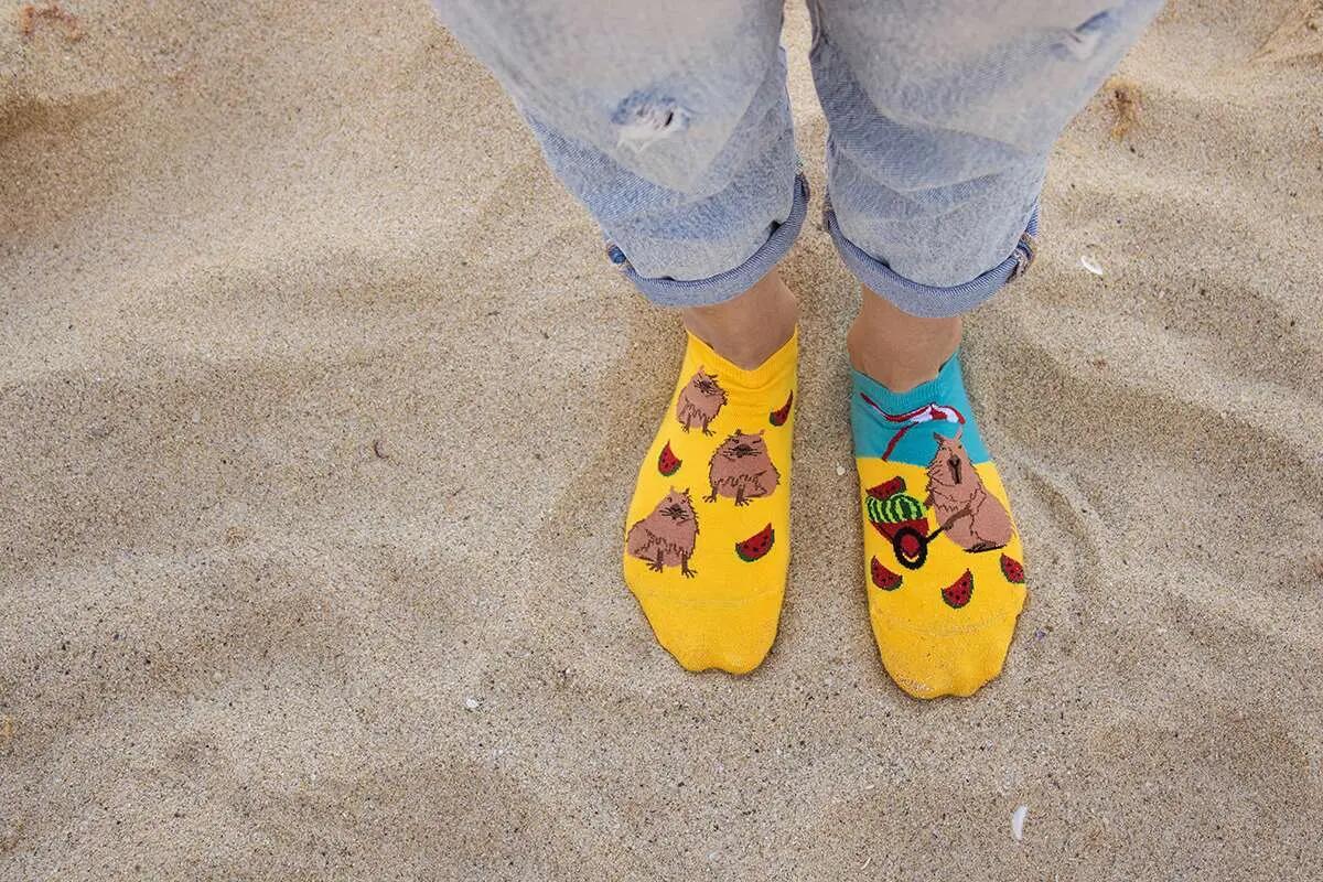 Șosete scurte bumbac Arty Socks cu Capibara la Plajă 4/6