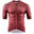 PIPPO Amsterdam Racing Jersey De Ronde Heren