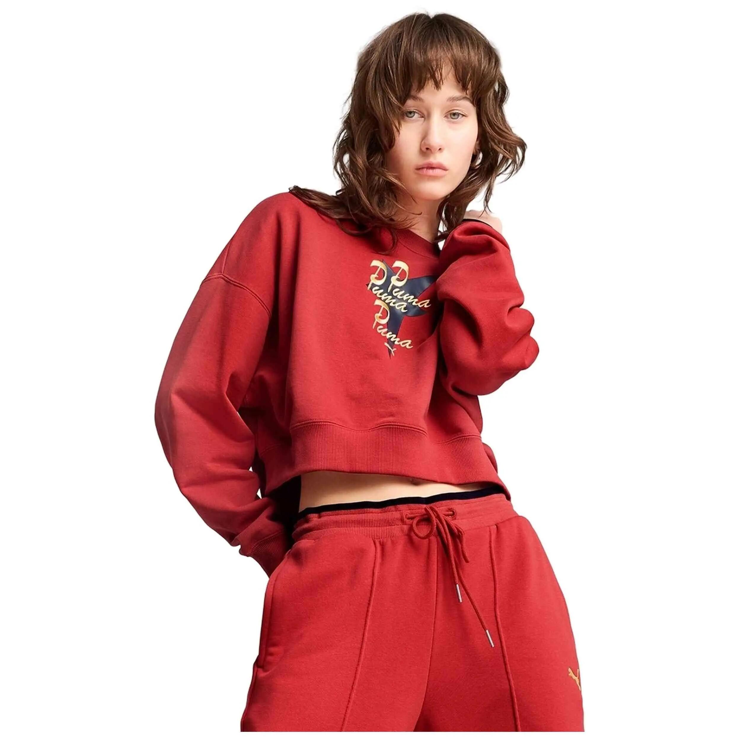 PUMA picture