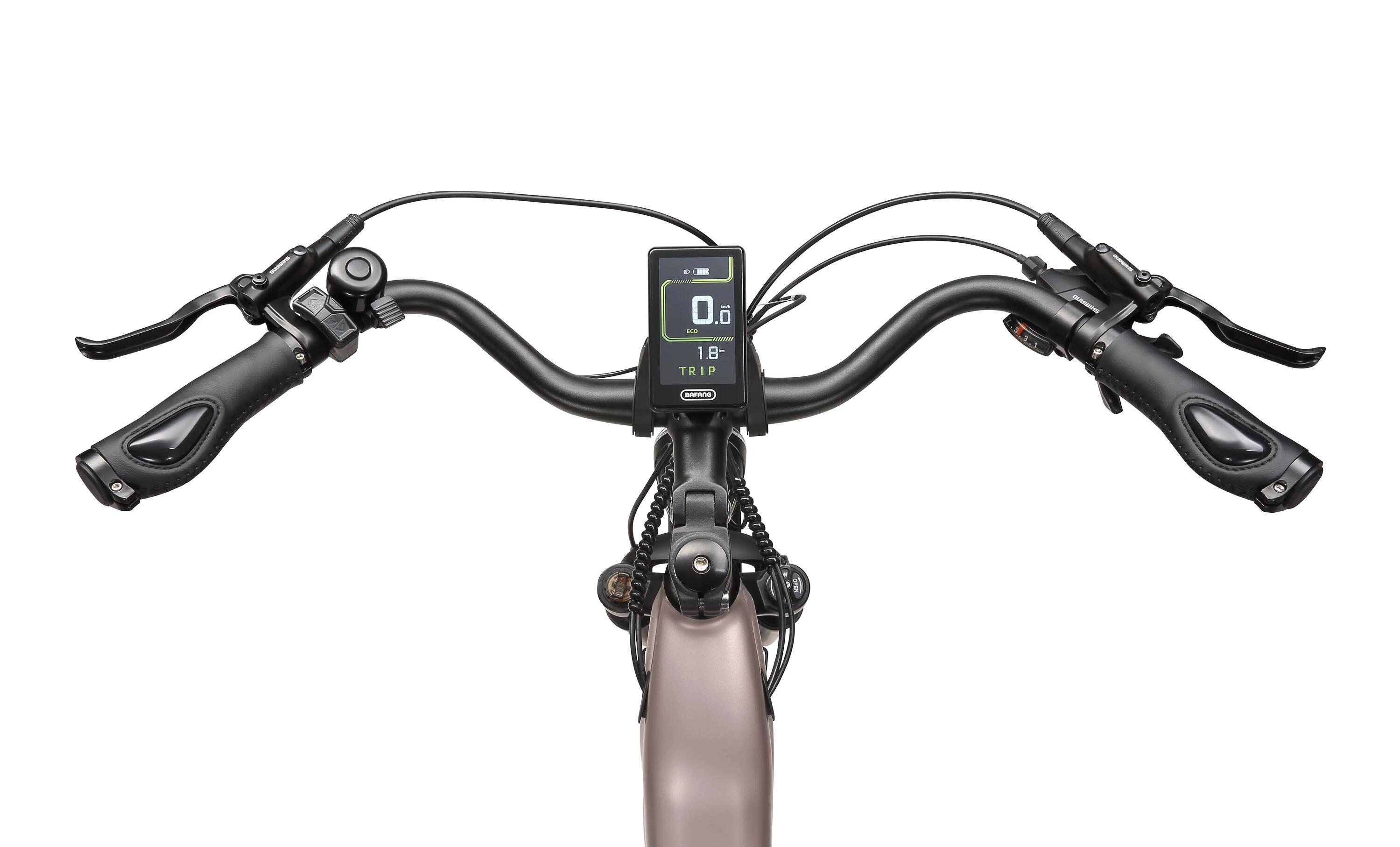 City E-Bike 250 W, 810 Wh, 160 km, Drehmomentsensor, hydraulische Bremsen 4/4