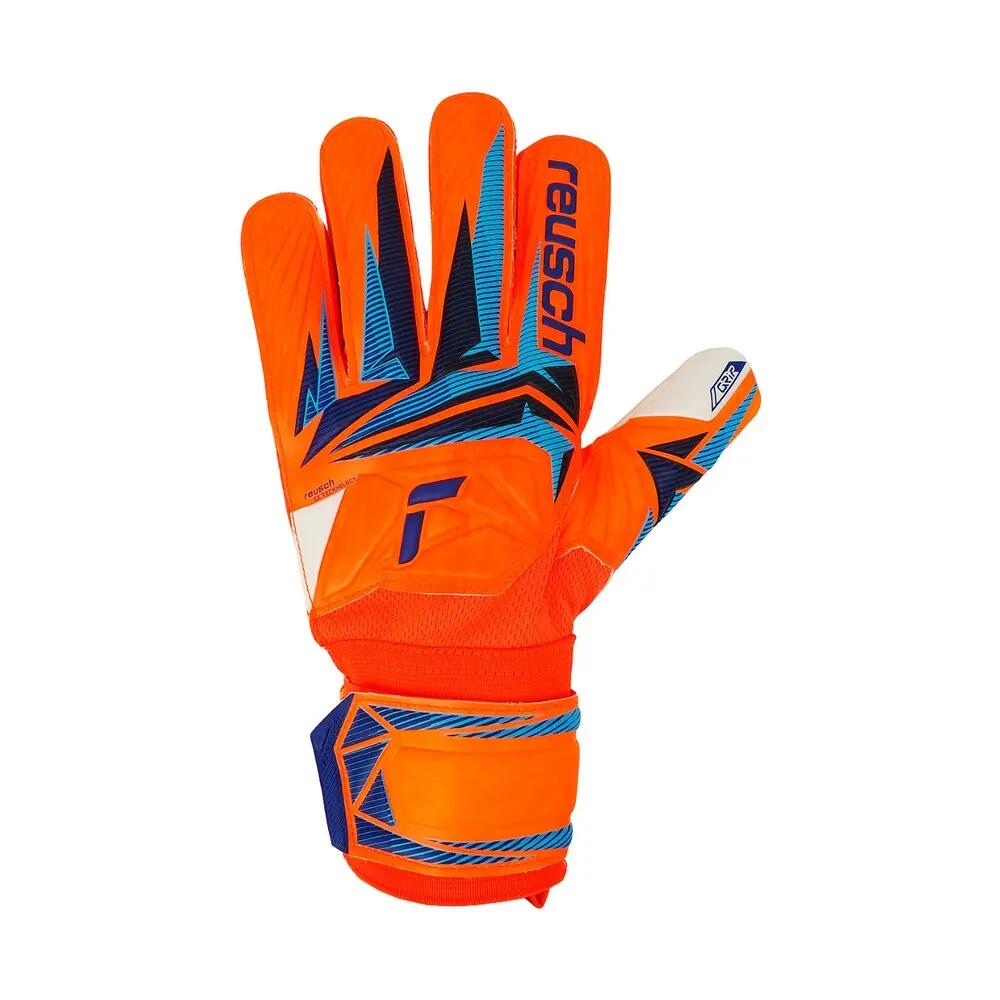REUSCH picture