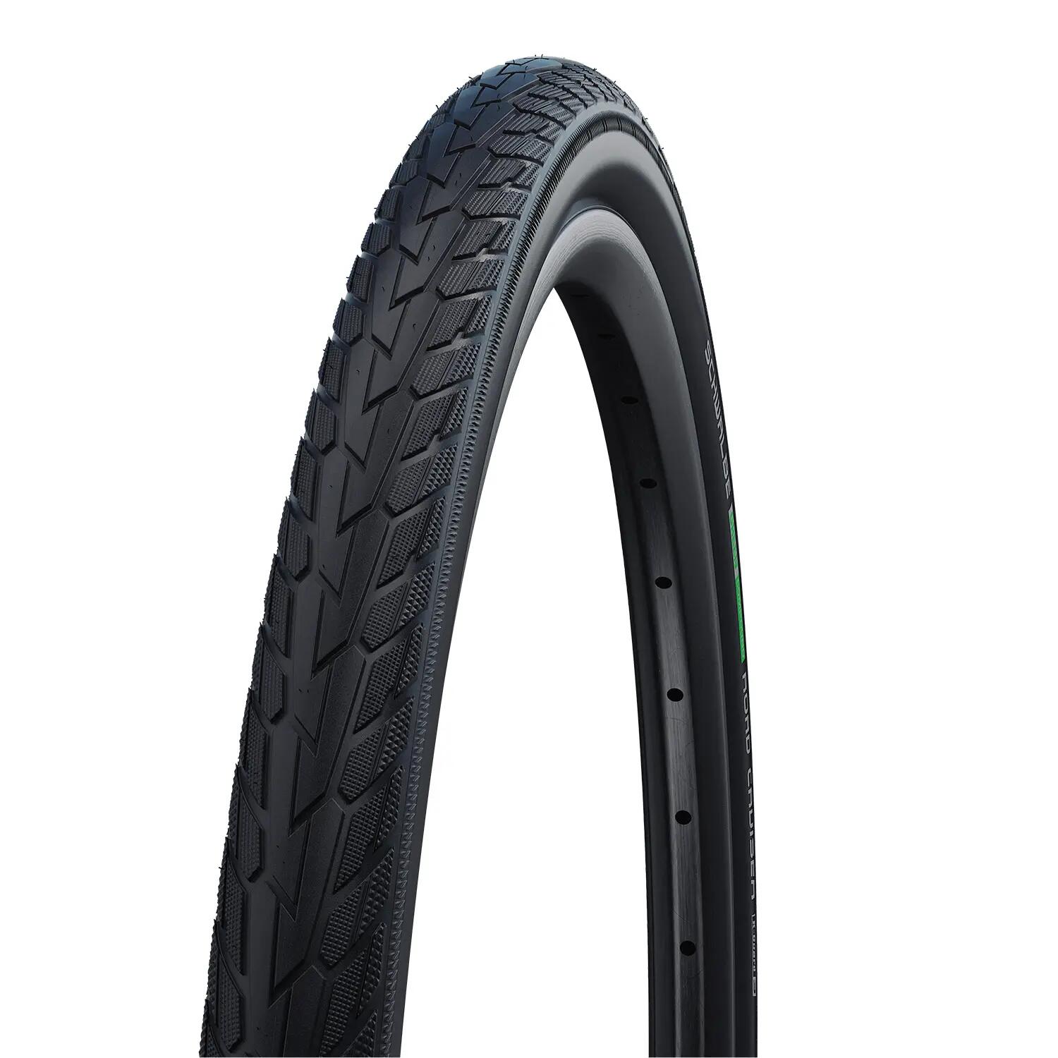 SCHWALBE picture