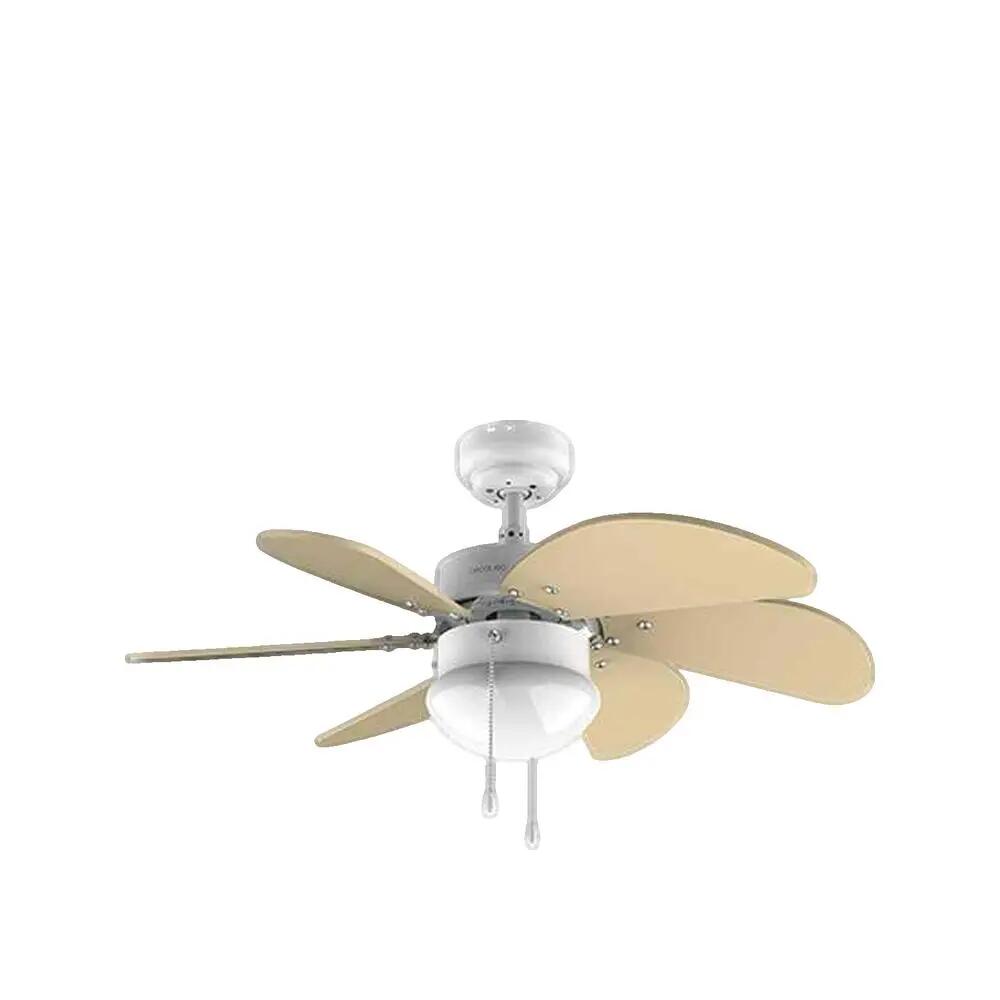 CECOTEC picture
