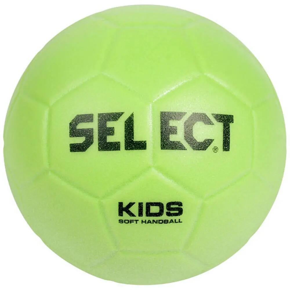 SELECT picture