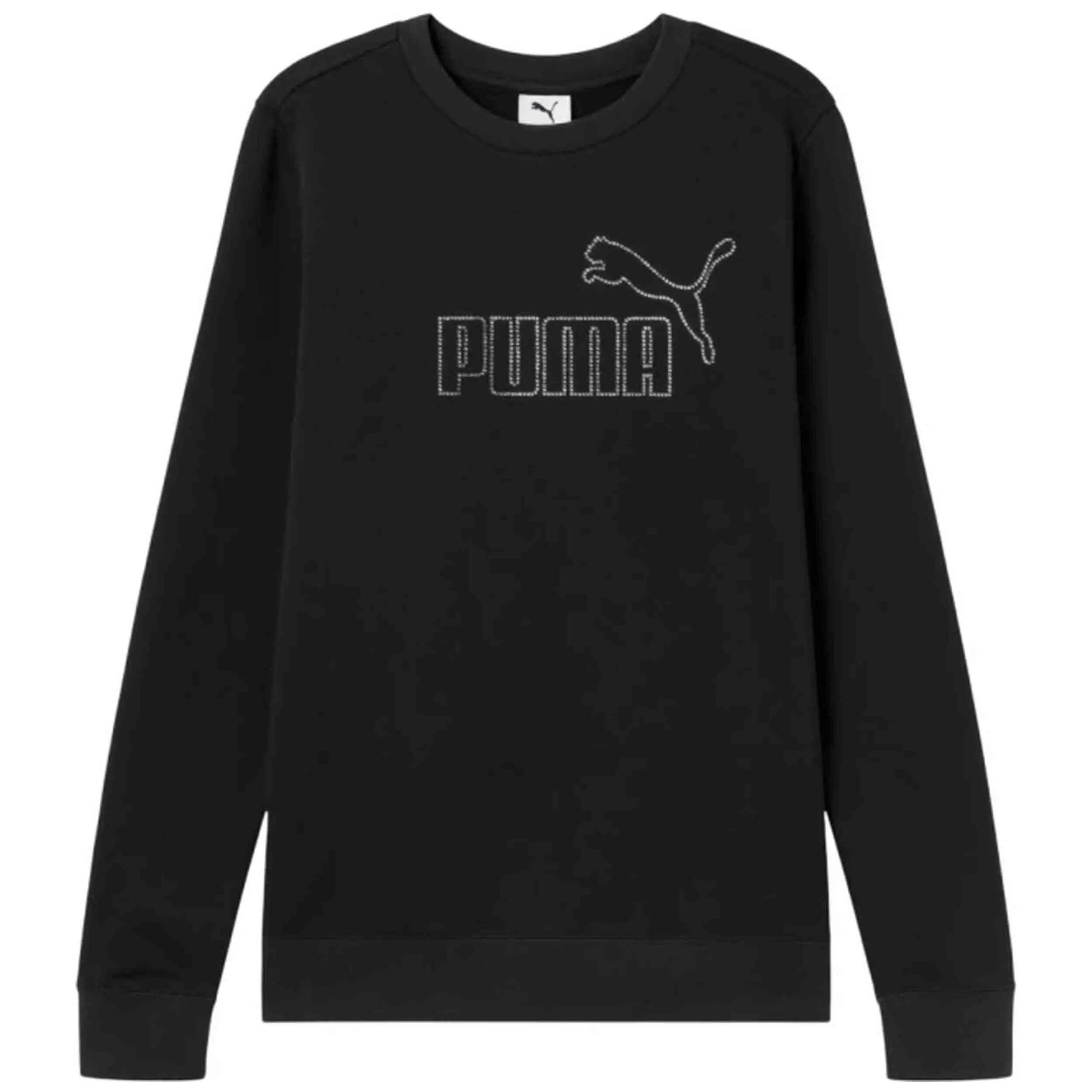 PUMA picture