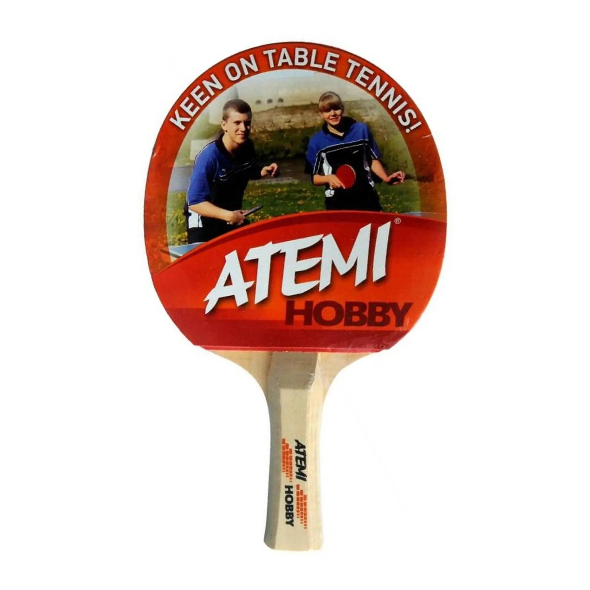 ATEMI picture