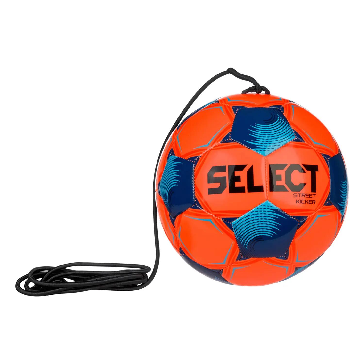 SELECT picture
