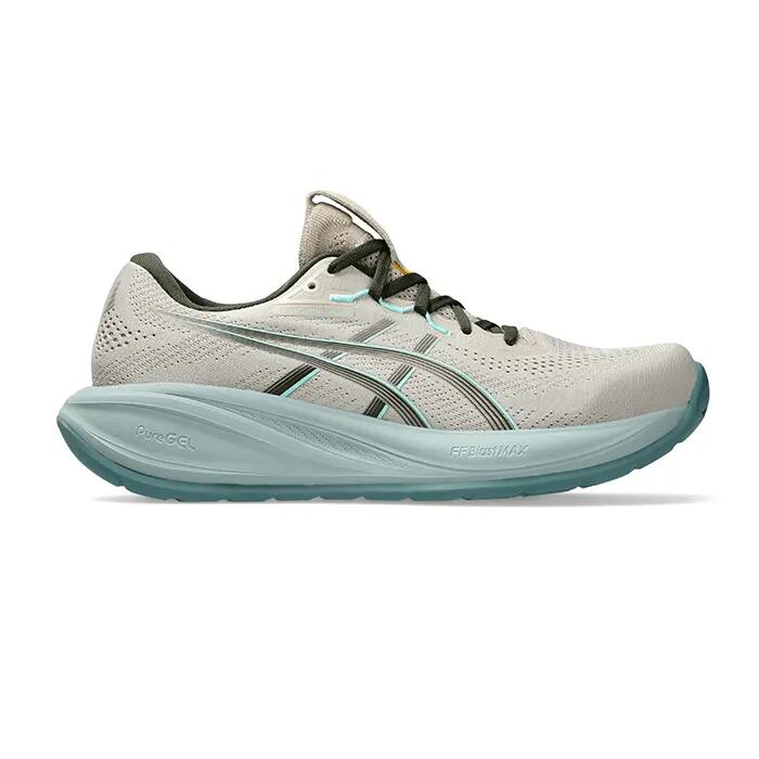 ASICS picture