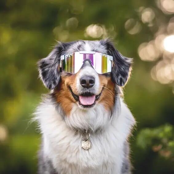 The Miami Nights Original Regular - HDPV Polarized 5/5