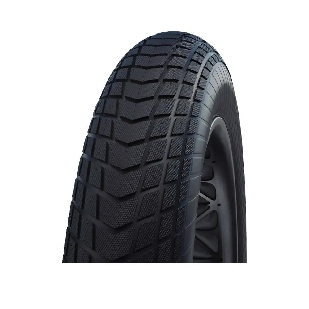 SCHWALBE picture