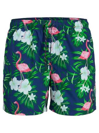 Short de Bain Homme Grande Taille Novelty AOP Multi