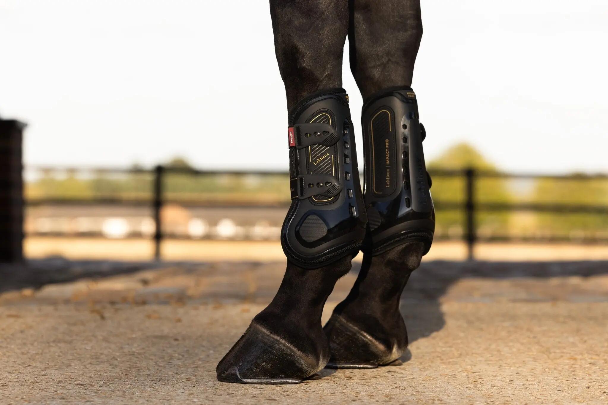 Guêtres pour cheval ouvertes LeMieux Impact Pro 7/7