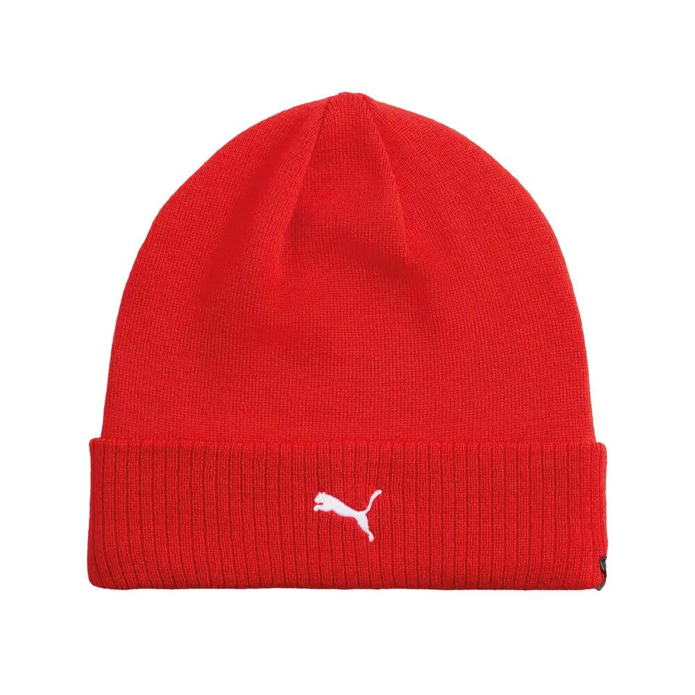 PUMA picture