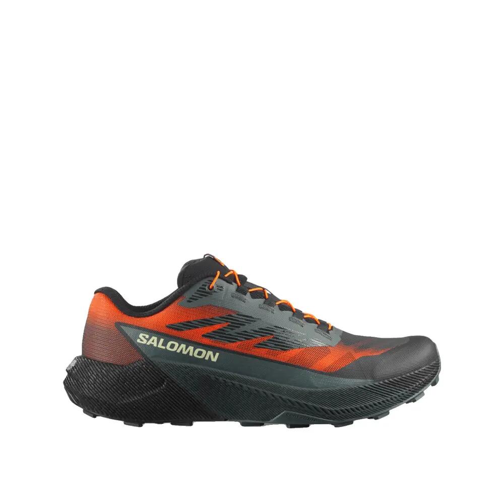 SALOMON picture
