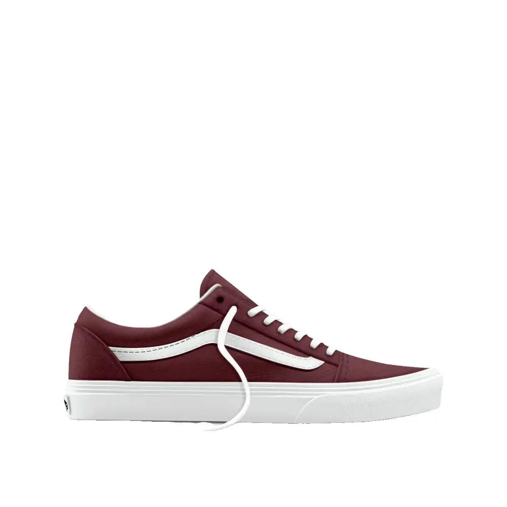VANS picture