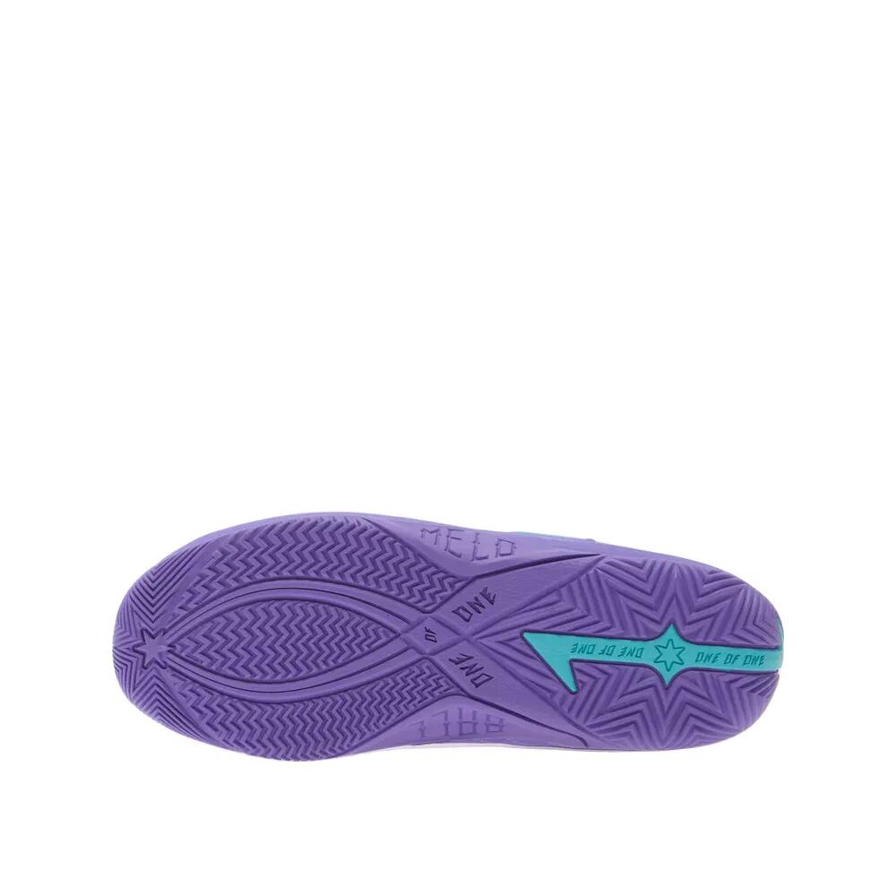 PUMA picture