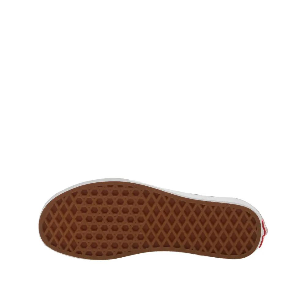 VANS picture