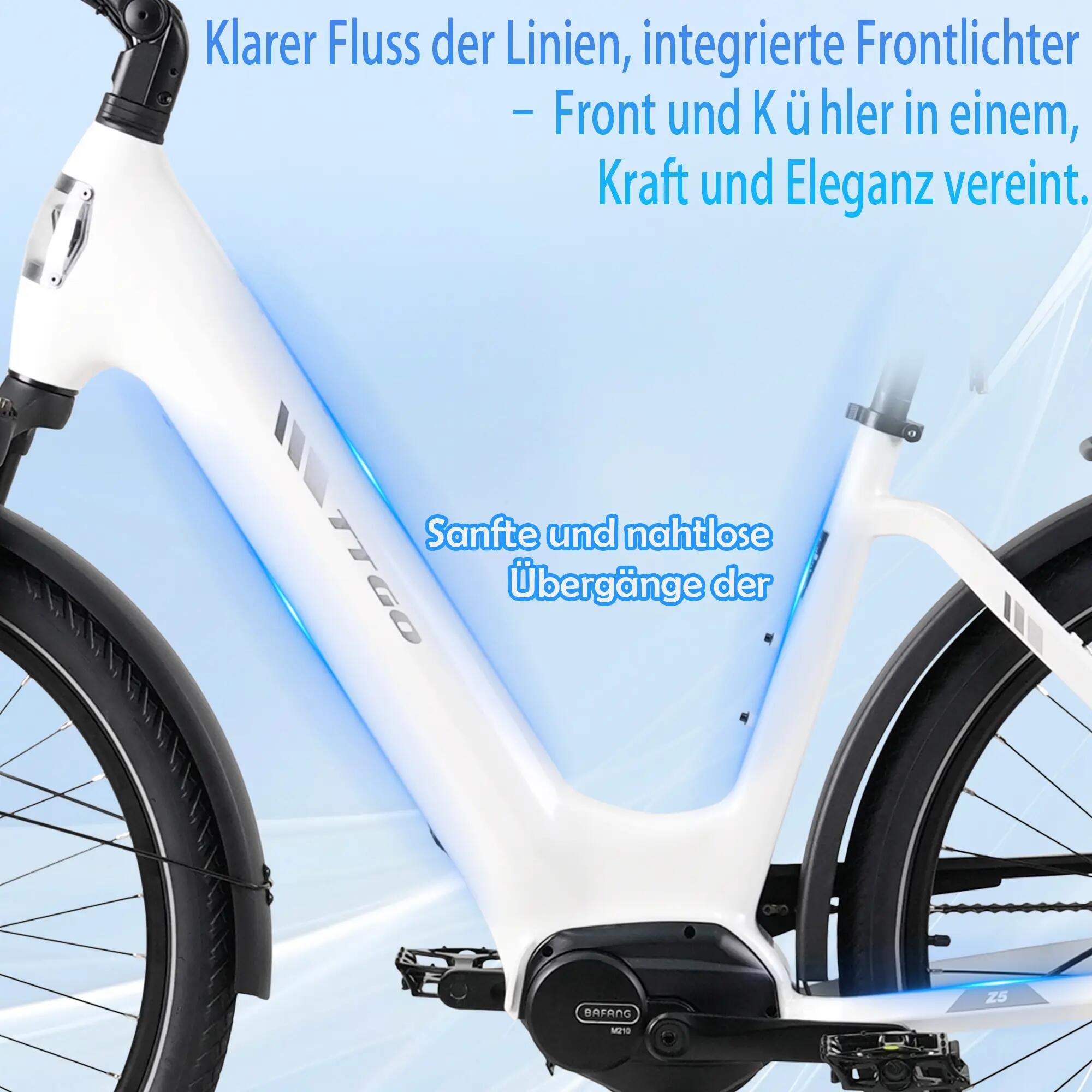 Elektrický bicykel pre dospelých TTGO Z5, motor 250 W, batéria 36 V 18 Ah 4/14