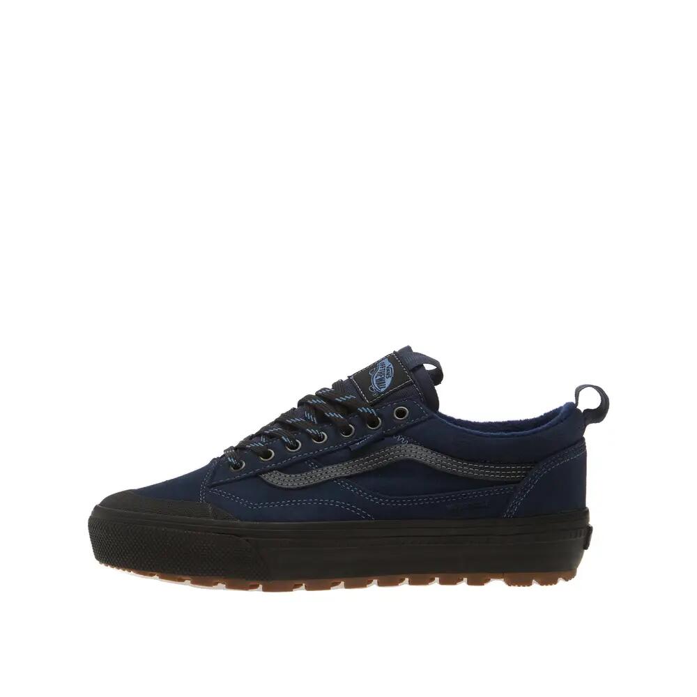 VANS picture