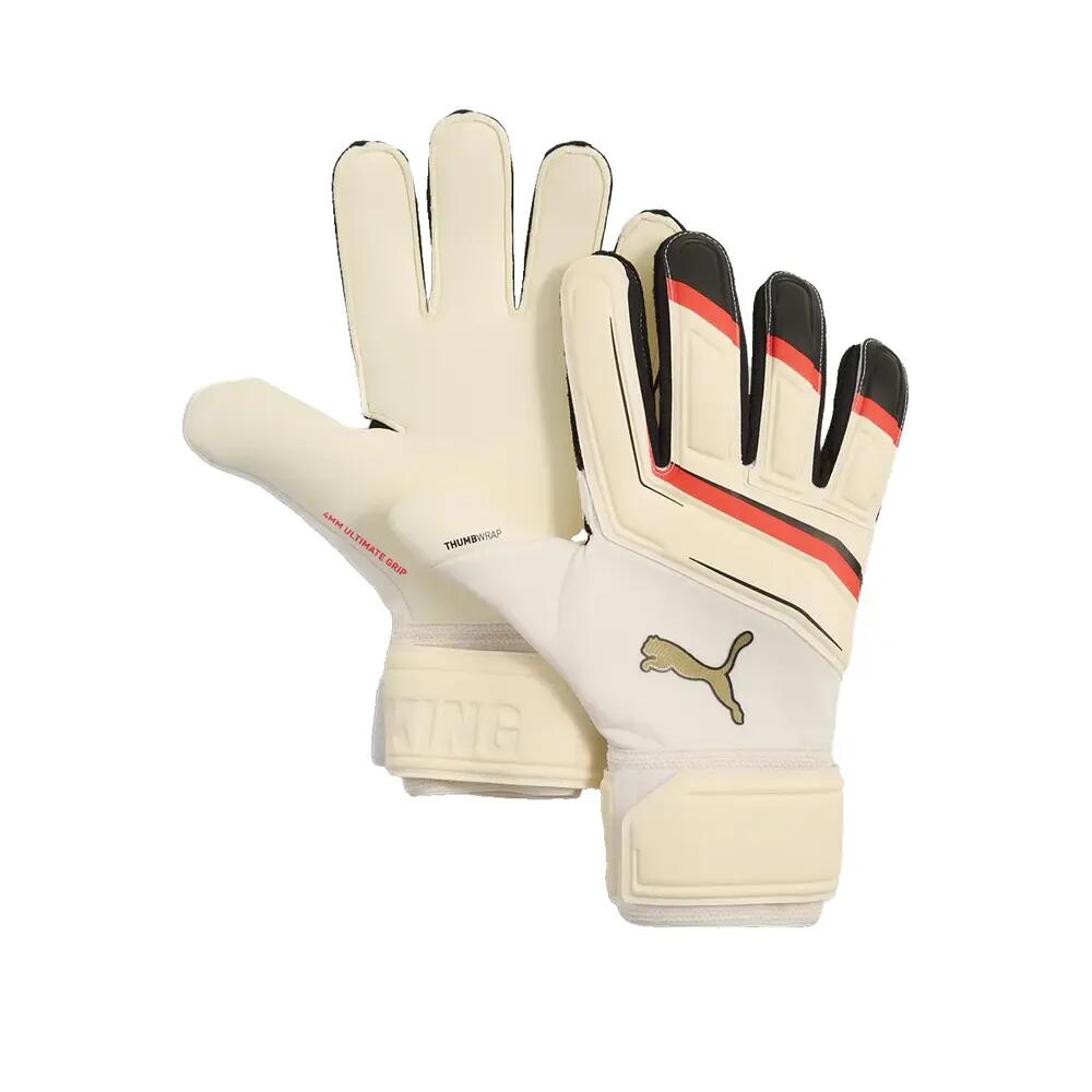 PUMA picture