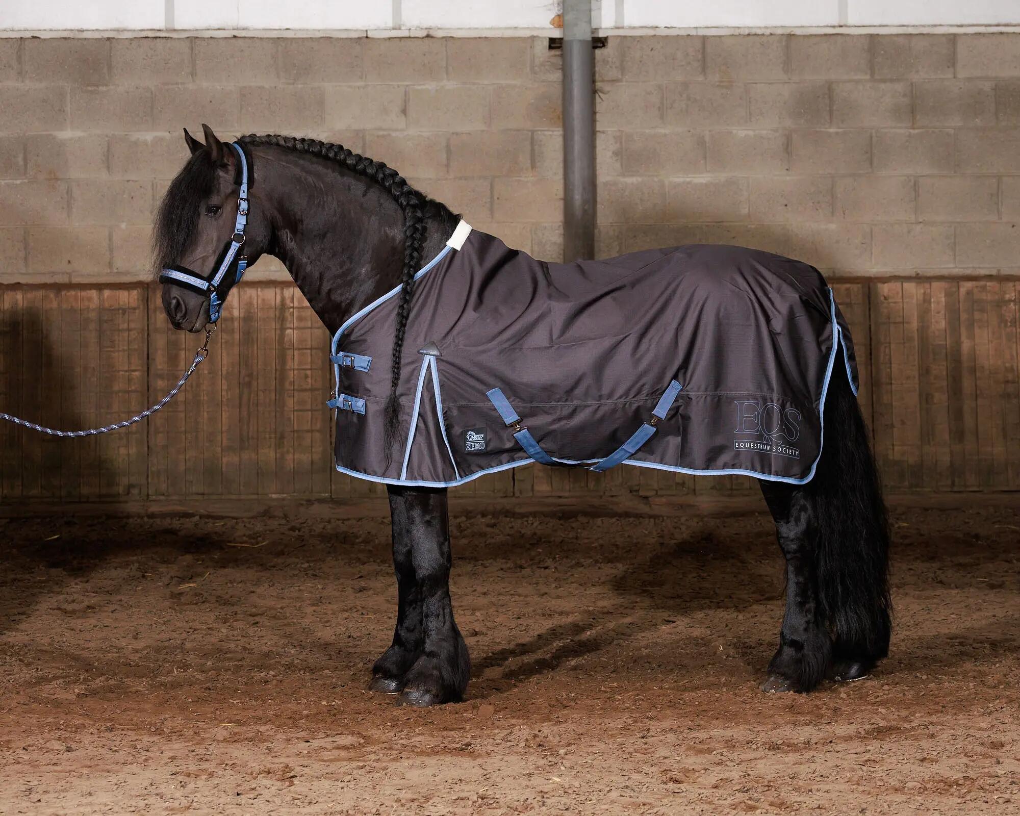 HARRYS HORSE picture