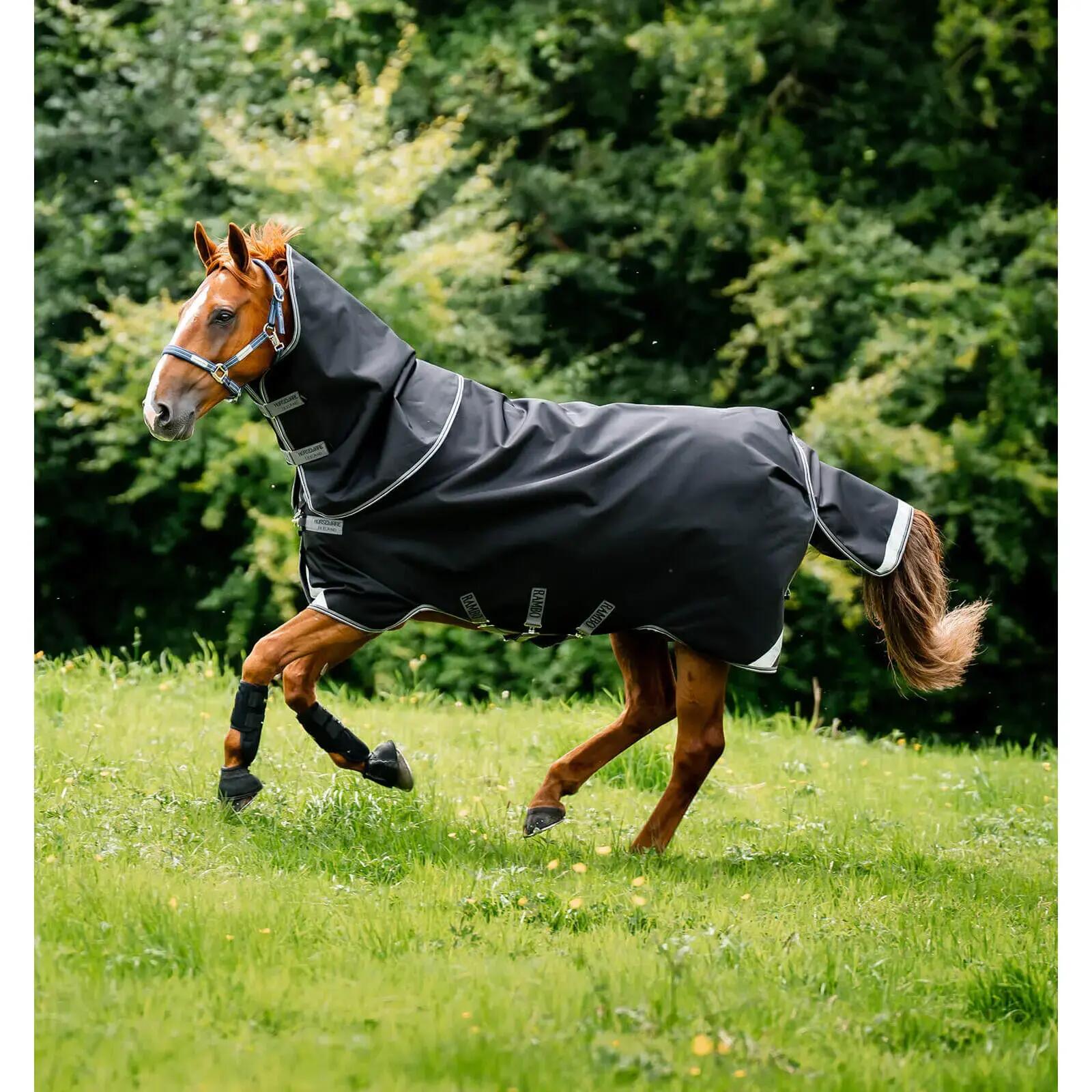 HORSEWARE IRELAND picture