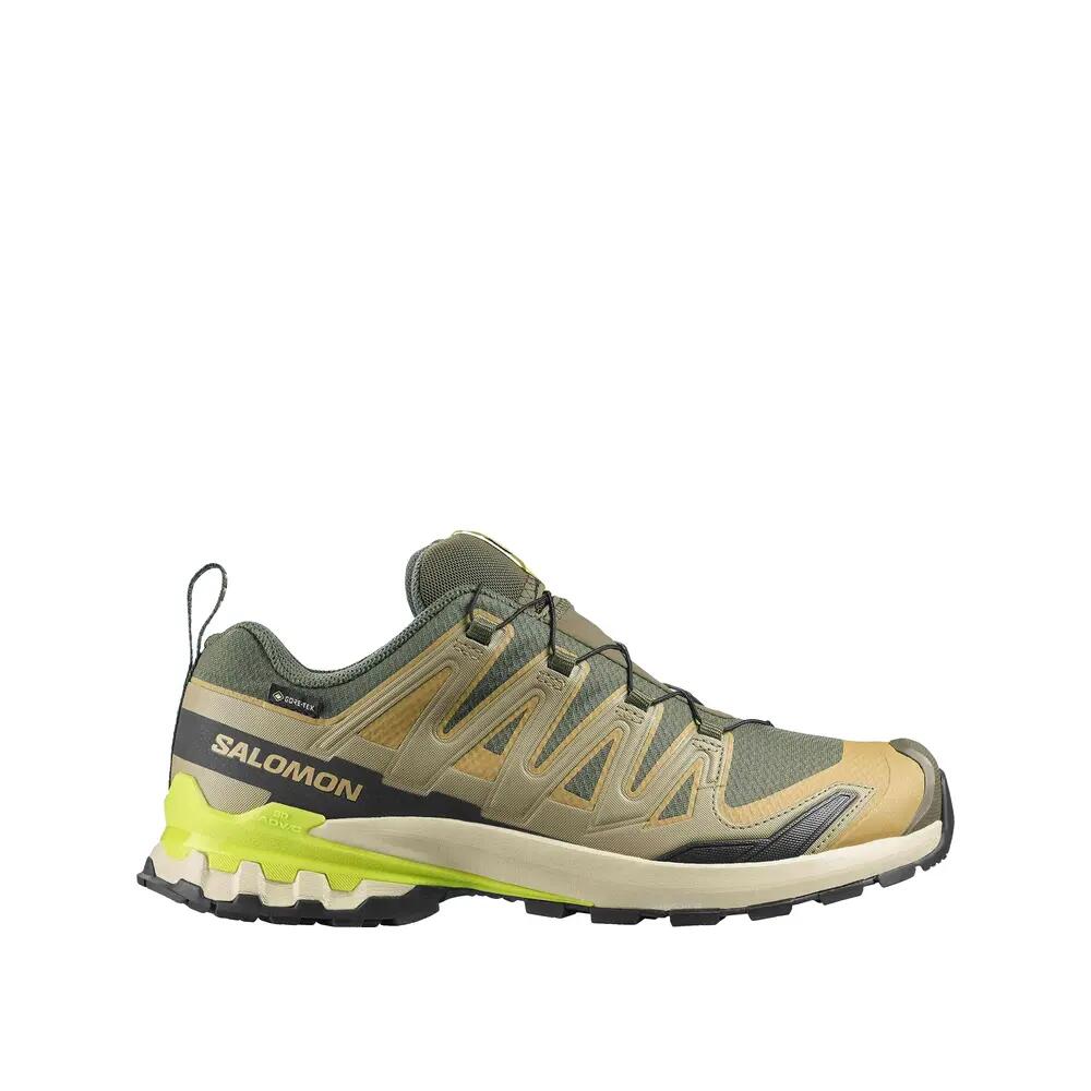 SALOMON picture