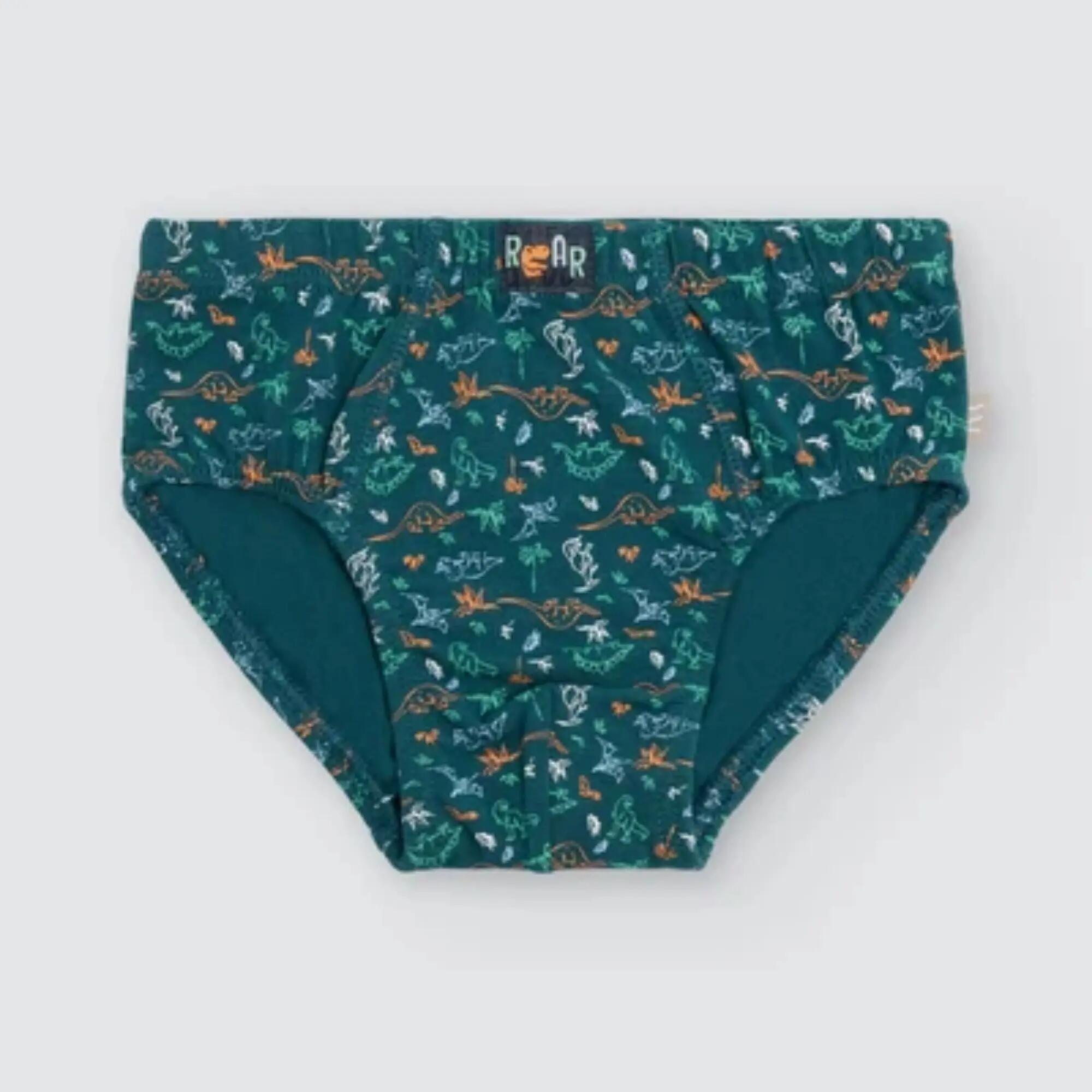 Pack de 2 slips de menino em algodão com estampado de dinossauros 2/4