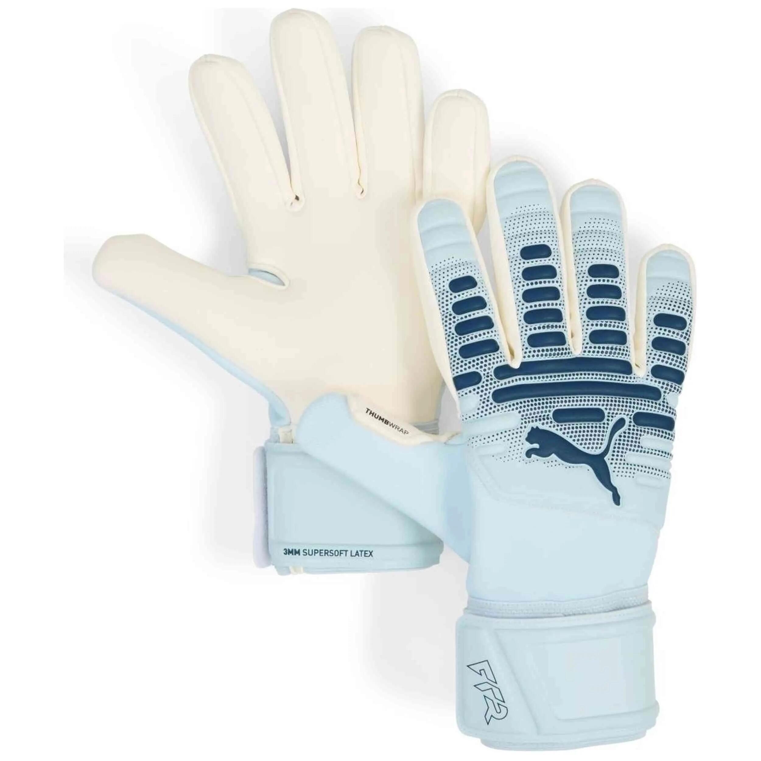 PUMA picture