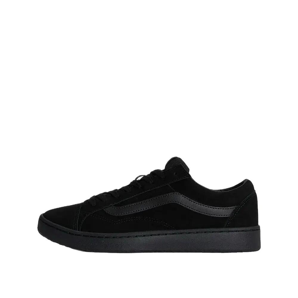 VANS picture