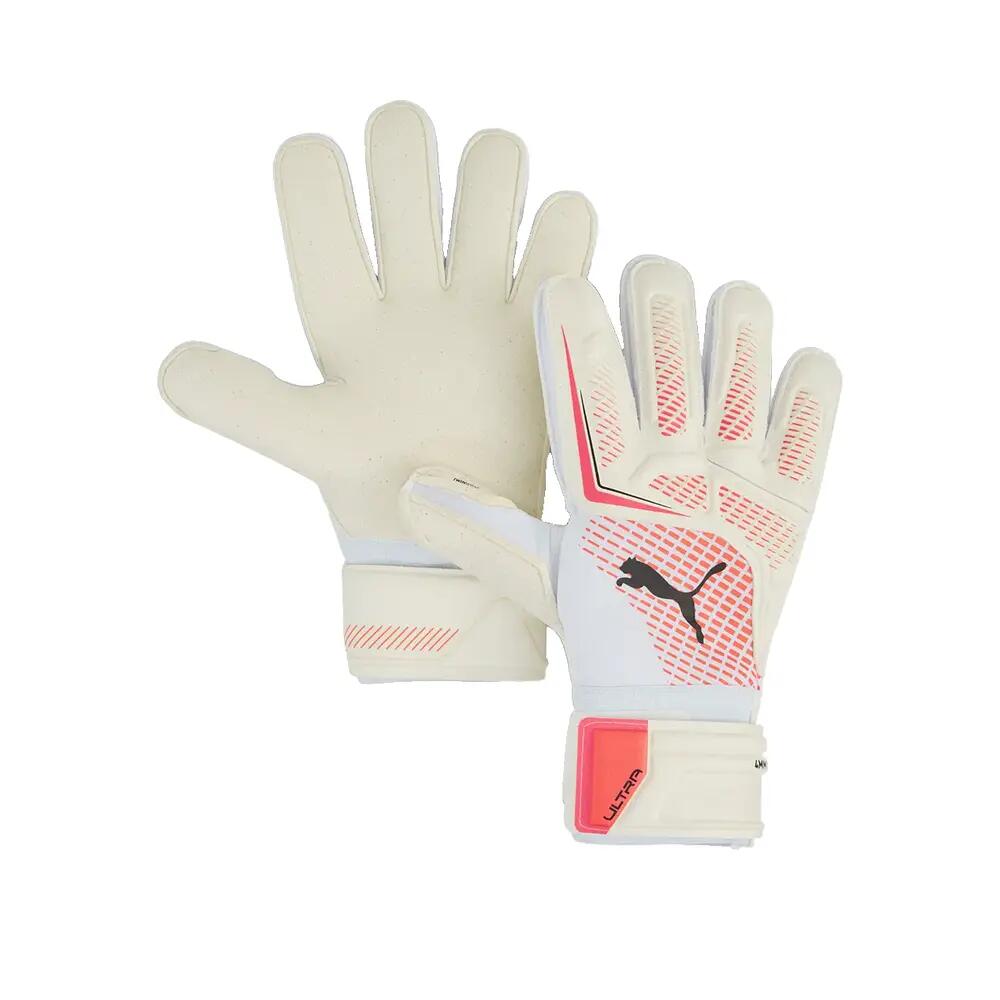 PUMA picture