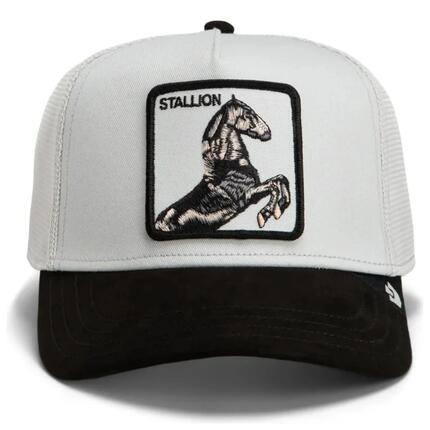 Casquette Goorin Bros Suede Stallion Adulte