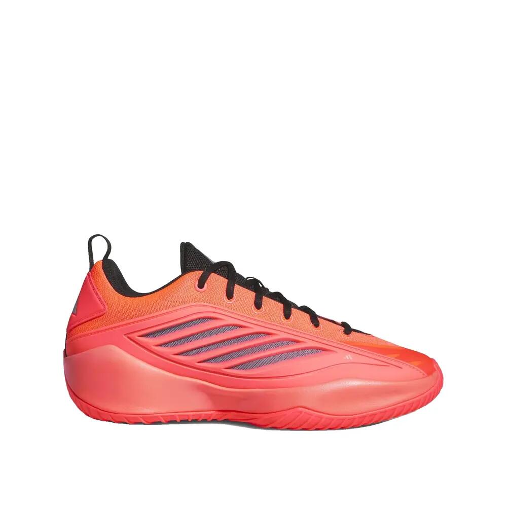 ADIDAS picture