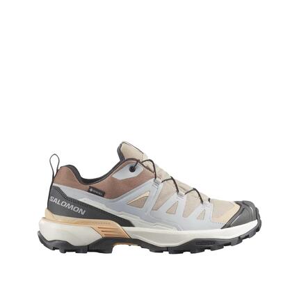 Bergwanderschuhe Salomon X Ultra 360 GTX W Blau/Braun